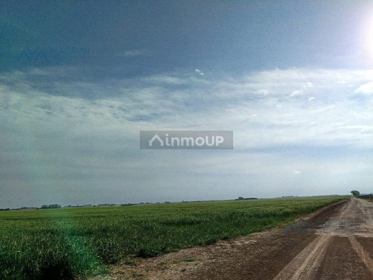 Campo en Venta en Pergamino, Buenos Aires Interior