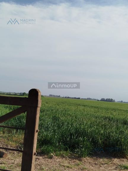 Campo en Venta en Pergamino, Buenos Aires Interior