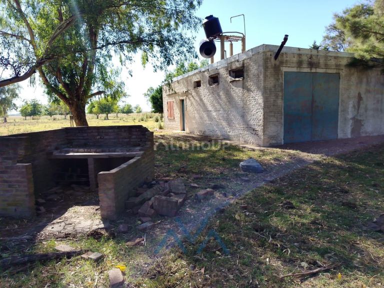 Campo en Venta en Pergamino, Buenos Aires Interior