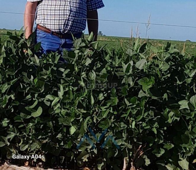 Campo en Venta en San Pedro, Misiones