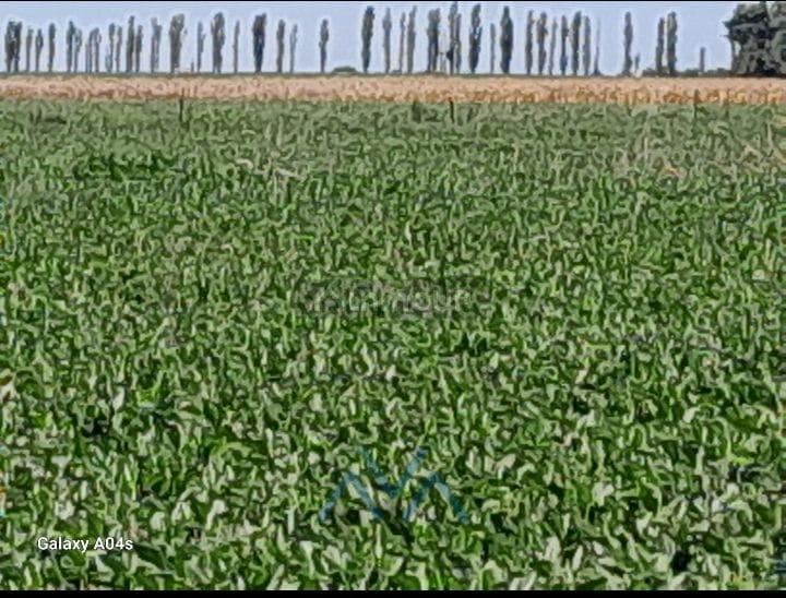Campo en Venta en San Pedro, Misiones