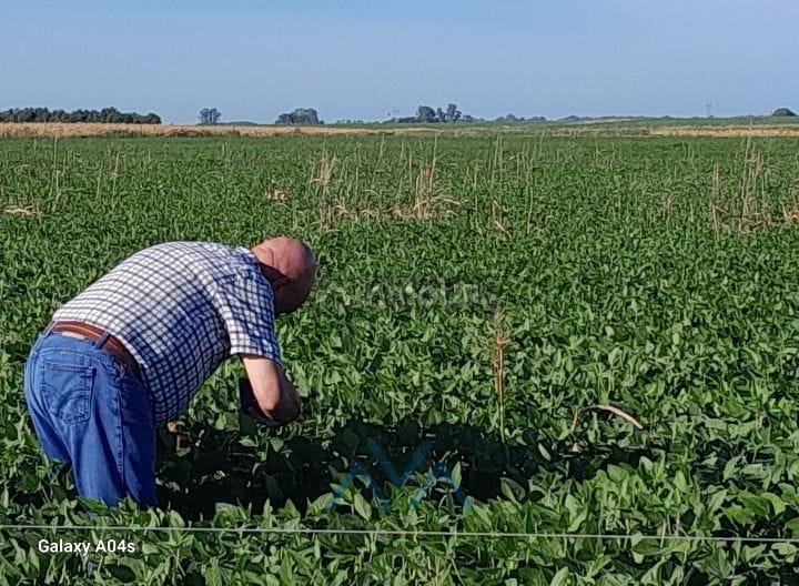 Campo en Venta en San Pedro, Misiones