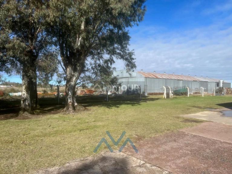 Fondo de Comercio en Venta en Pehuajo, Buenos Aires Interior