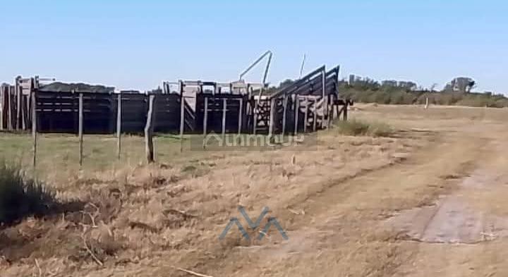 Campo en Venta en Juarez Celman, Cordoba