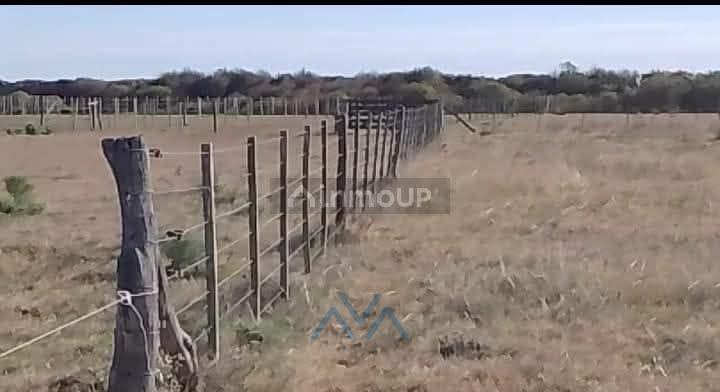 Campo en Venta en Juarez Celman, Cordoba