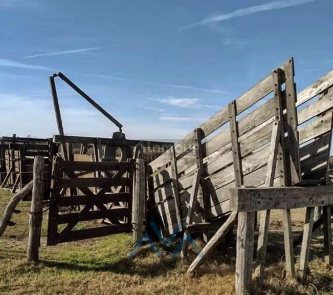 Campo en Venta en Juarez Celman, Cordoba