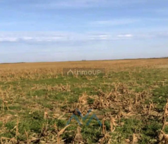 Campo en Venta en Juarez Celman, Cordoba