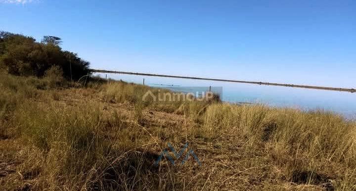 Campo en Venta en Juarez Celman, Cordoba