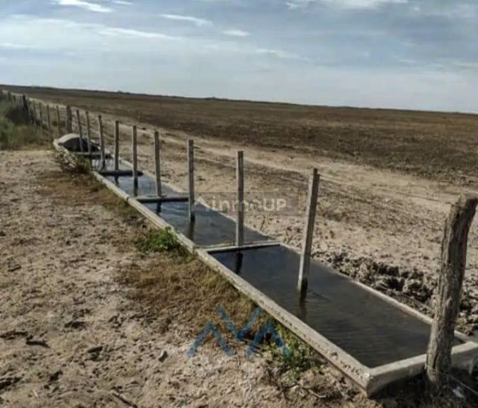 Campo en Venta en Juarez Celman, Cordoba