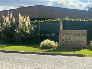 Lujan de Cuyo Pueblo Malbec