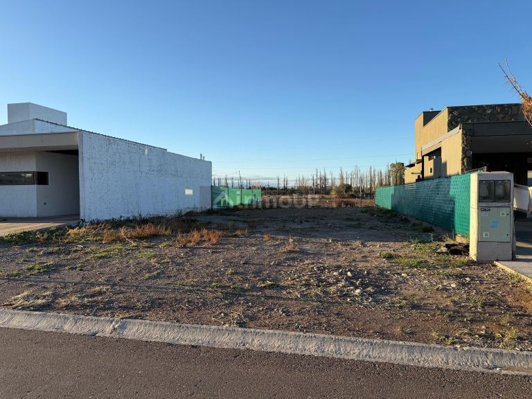 Lote en Venta en Lujan de Cuyo, Mendoza
