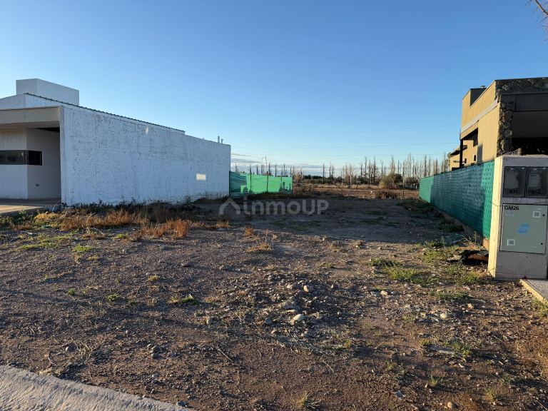 Lote en Venta en Lujan de Cuyo, Mendoza
