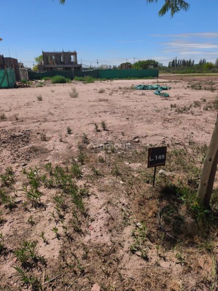 Lote en Venta en Lujan de Cuyo, Mendoza