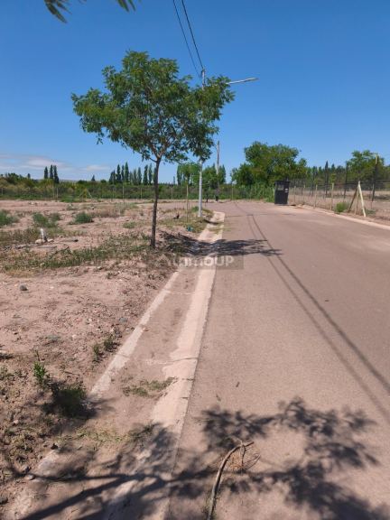 Lote en Venta en Lujan de Cuyo, Mendoza