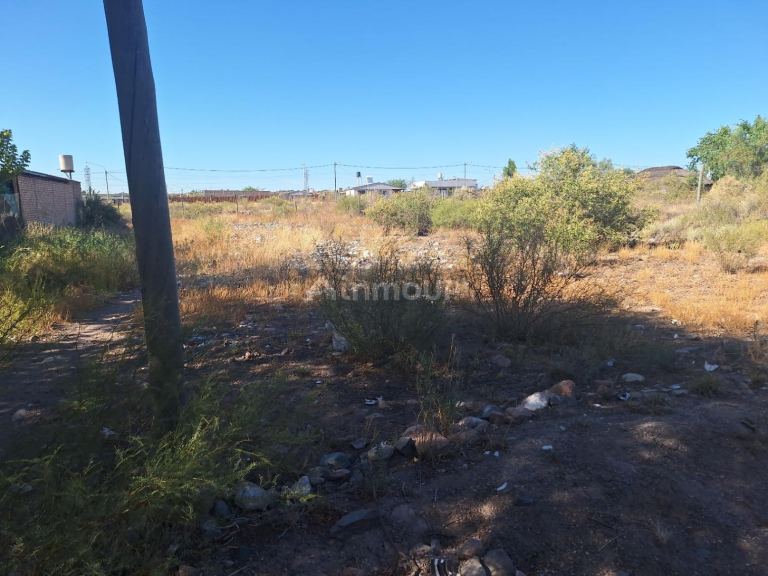 Lote en Venta en Lujan de Cuyo, Mendoza