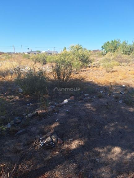 Lote en Venta en Lujan de Cuyo, Mendoza
