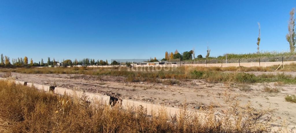 Lote en Venta en Lujan de Cuyo, Mendoza