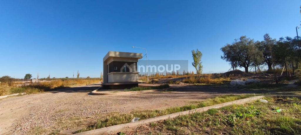 Lote en Venta en Lujan de Cuyo, Mendoza