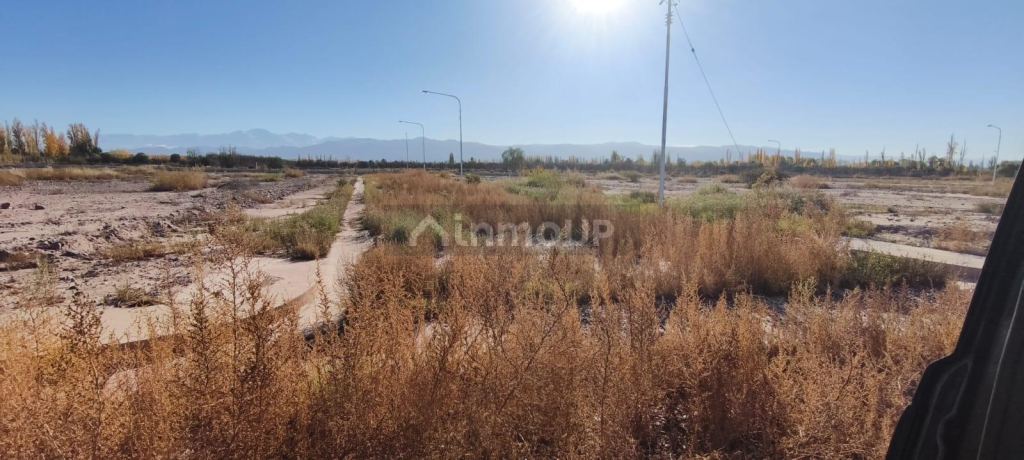 Lote en Venta en Lujan de Cuyo, Mendoza