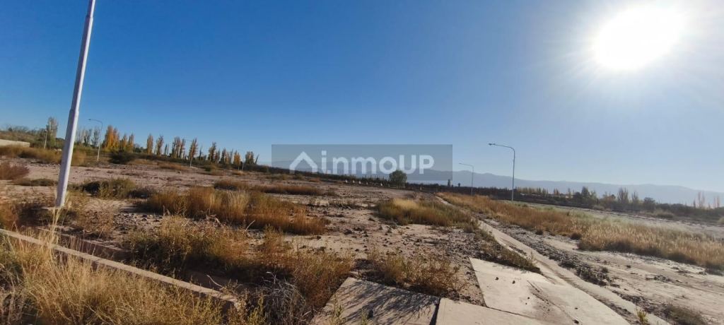 Lote en Venta en Lujan de Cuyo, Mendoza