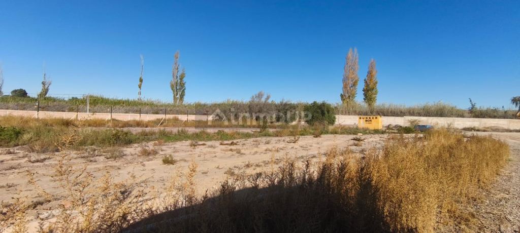 Lote en Venta en Lujan de Cuyo, Mendoza