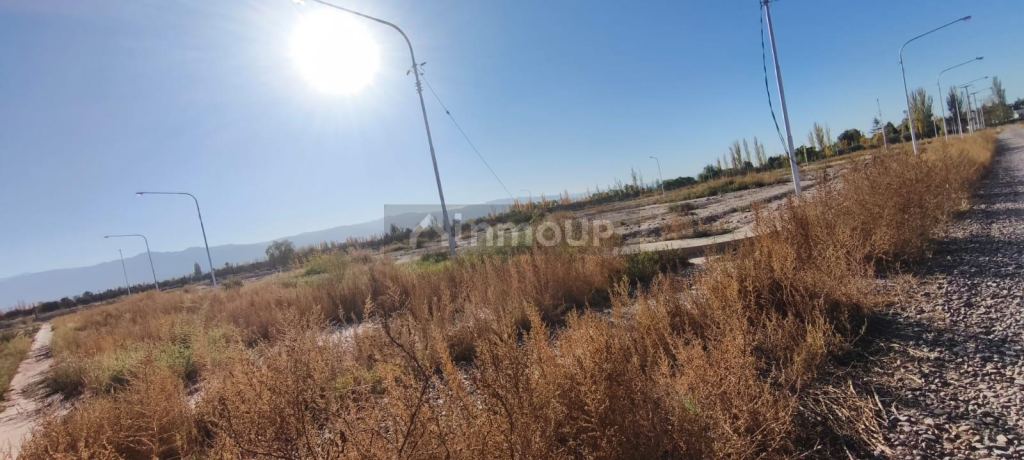 Lote en Venta en Lujan de Cuyo, Mendoza