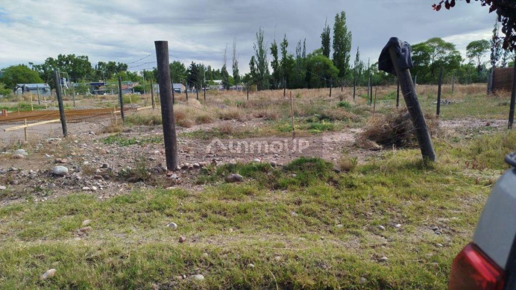 Lote en Venta en Lujan de Cuyo, Mendoza