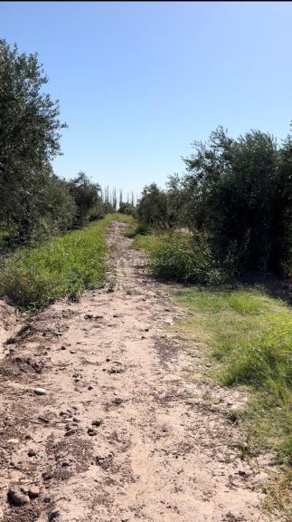 Lote en Venta en Maipu, Mendoza
