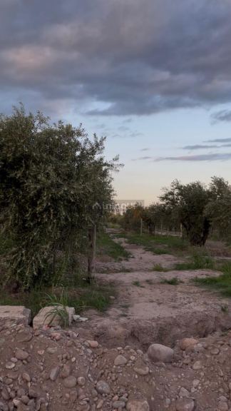 Lote en Venta en Maipu, Mendoza