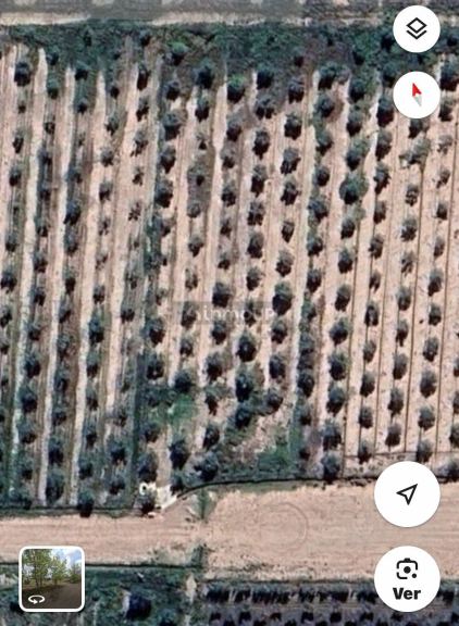 Lote en Venta en Maipu, Mendoza