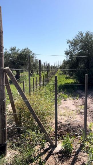 Lote en Venta en Maipu, Mendoza