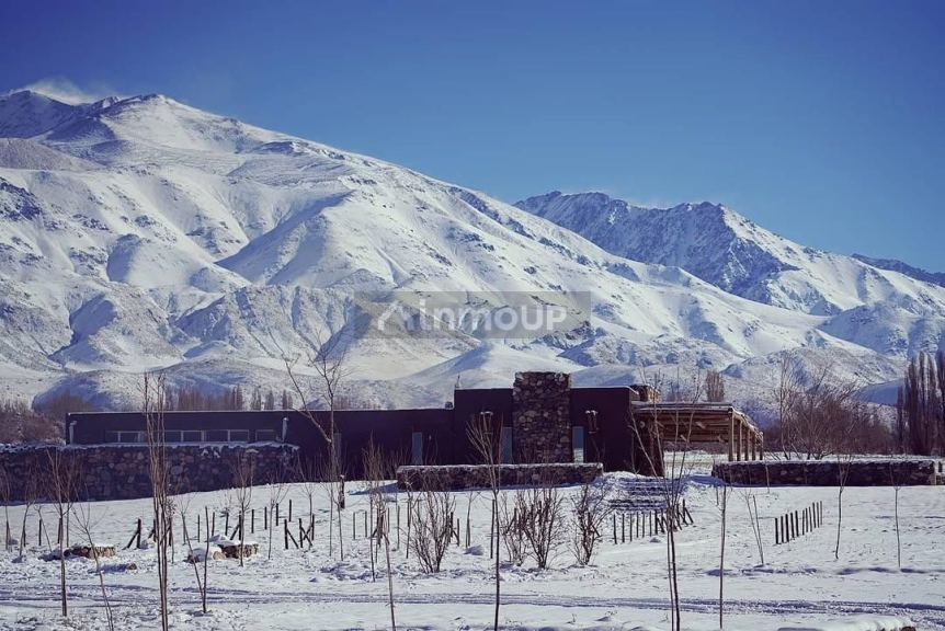 Terreno en Venta en Tupungato, Mendoza