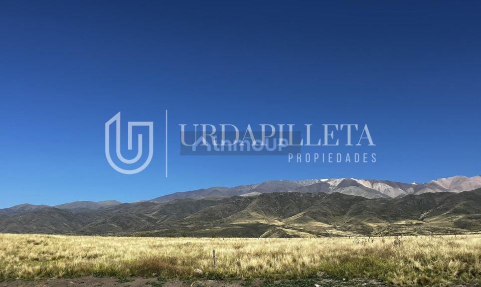Terreno en Venta en Tupungato, Mendoza