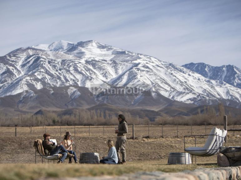 Terreno en Venta en Tupungato, Mendoza