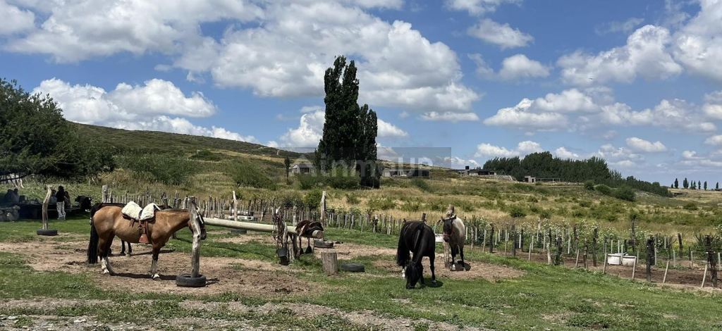 Terreno en Venta en Tupungato, Mendoza