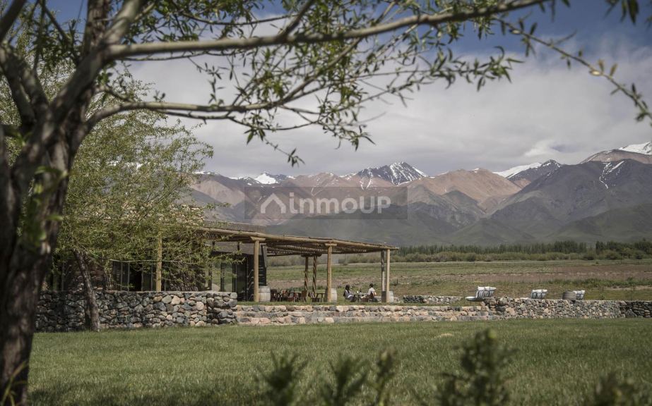 Terreno en Venta en Tupungato, Mendoza