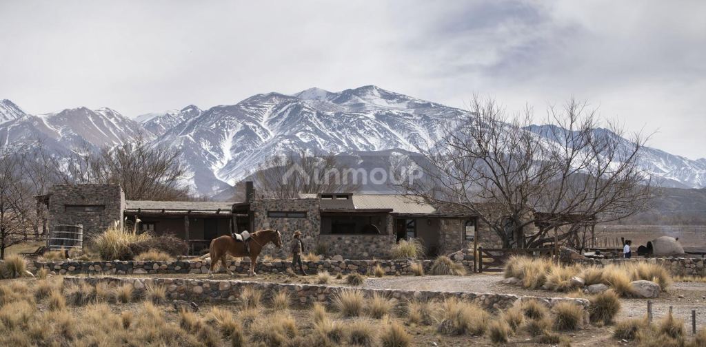 Terreno en Venta en Tupungato, Mendoza