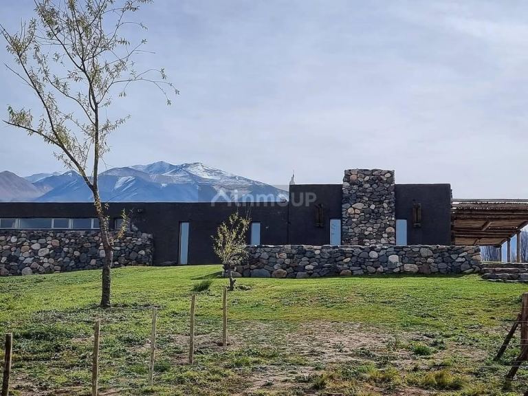 Terreno en Venta en Tupungato, Mendoza