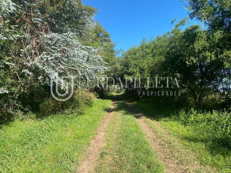 Terreno en Venta en Campana, G.B.A. Zona Norte