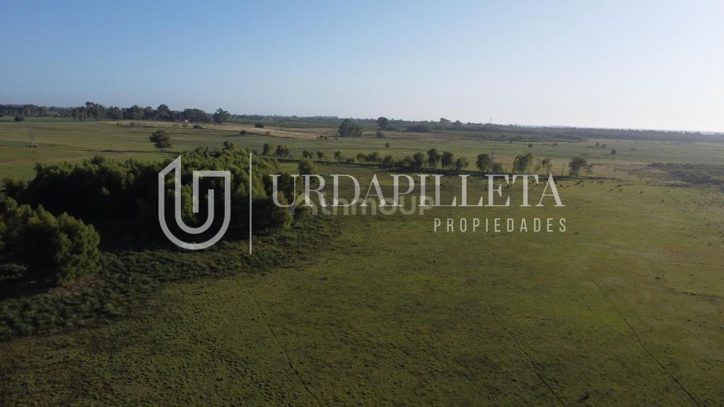 Terreno en Venta en Campana, G.B.A. Zona Norte