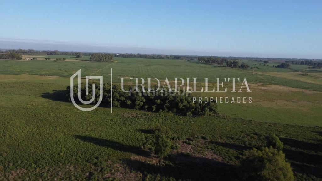 Terreno en Venta en Campana, G.B.A. Zona Norte