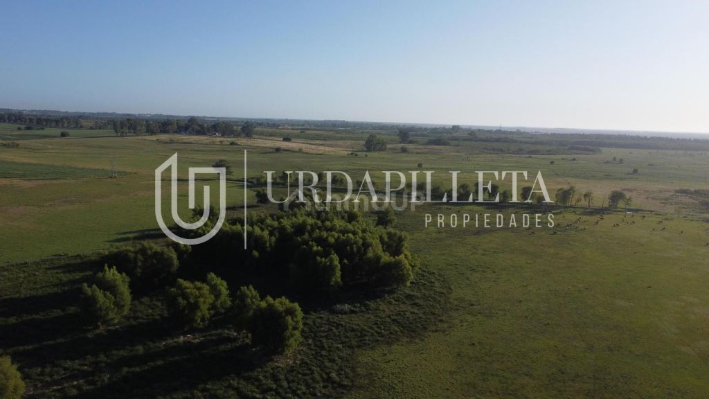Terreno en Venta en Campana, G.B.A. Zona Norte