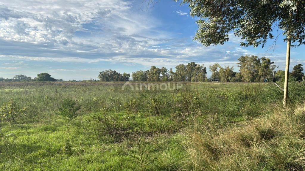 Terreno en Venta en General Rodriguez, G.B.A. Zona Oeste