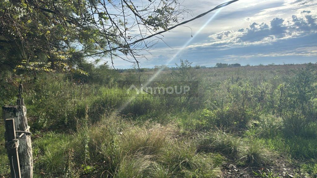 Terreno en Venta en General Rodriguez, G.B.A. Zona Oeste