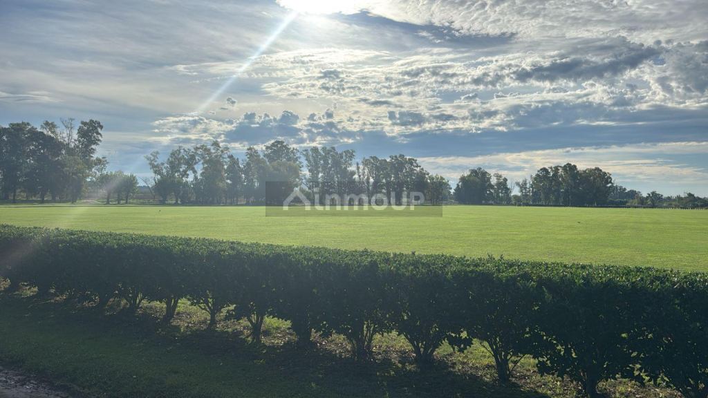 Terreno en Venta en General Rodriguez, G.B.A. Zona Oeste