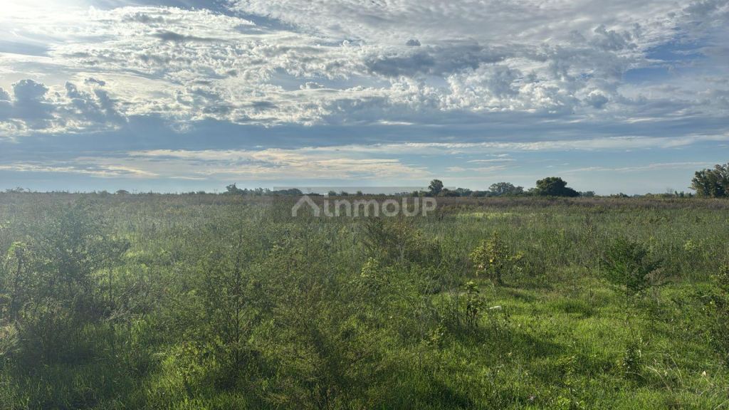 Terreno en Venta en General Rodriguez, G.B.A. Zona Oeste