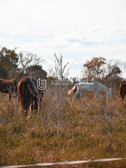 Terreno en Venta en Pilar, G.B.A. Zona Norte