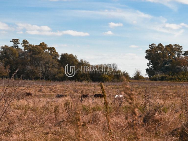 Terreno en Venta en Pilar, G.B.A. Zona Norte