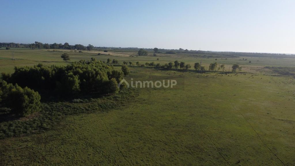 Terreno en Venta en Campana, G.B.A. Zona Norte
