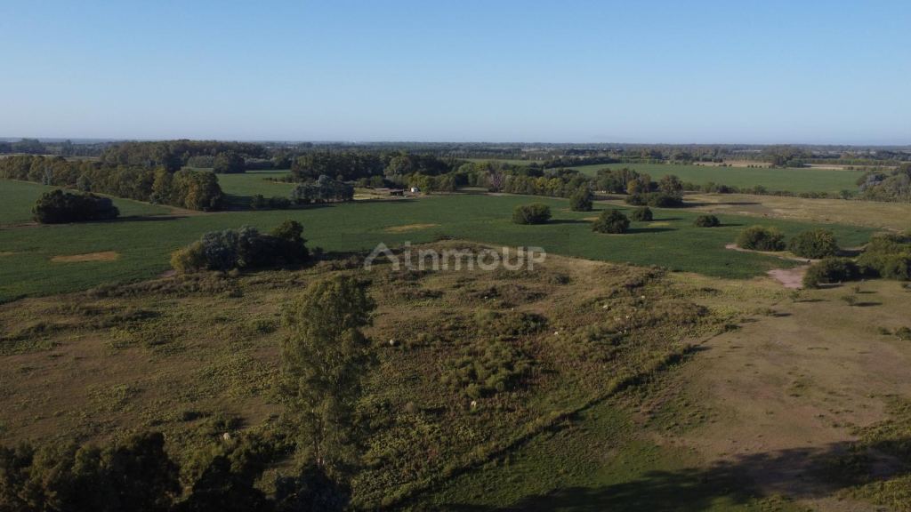 Terreno en Venta en Campana, G.B.A. Zona Norte